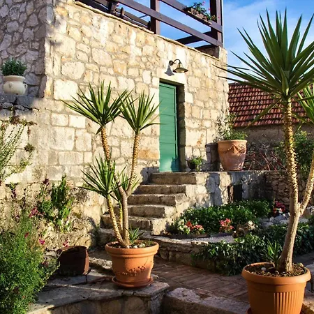 The Hidden Treasure Village - Olka וילה